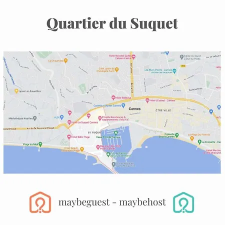 公寓 B061 Au Couer Du Centre Historique 戛纳